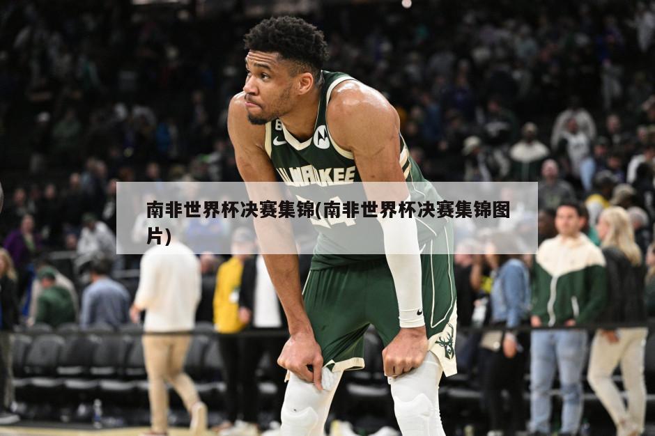 南非世界杯决赛集锦(南非世界杯决赛集锦图片)