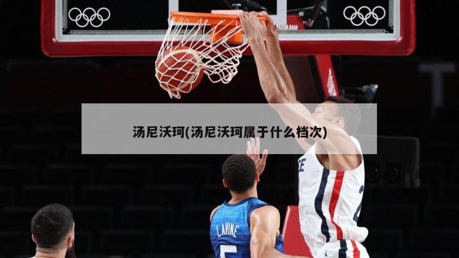 汤尼沃珂(汤尼沃珂属于什么档次)