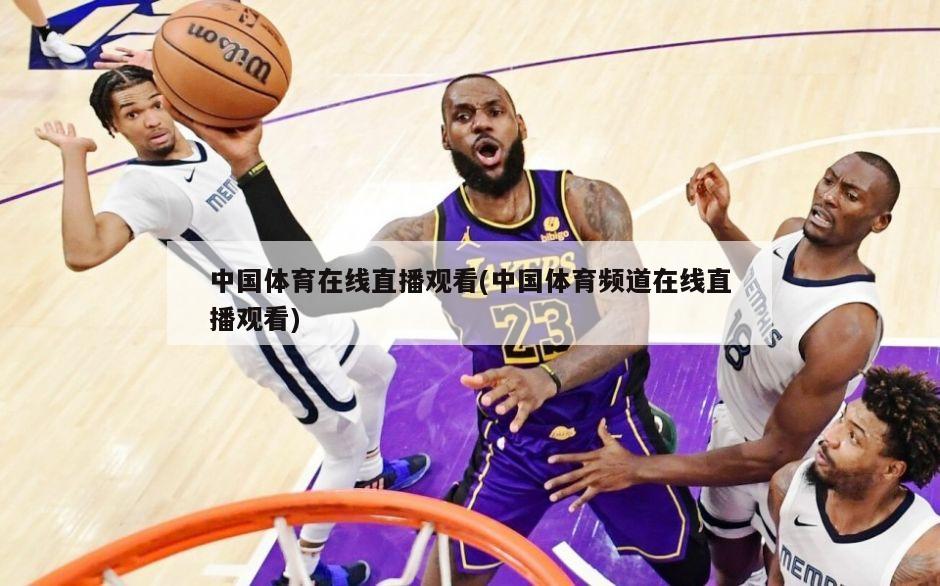 中国体育在线直播观看(中国体育频道在线直播观看)