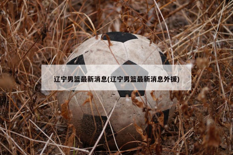 辽宁男篮最新消息(辽宁男篮最新消息外援)