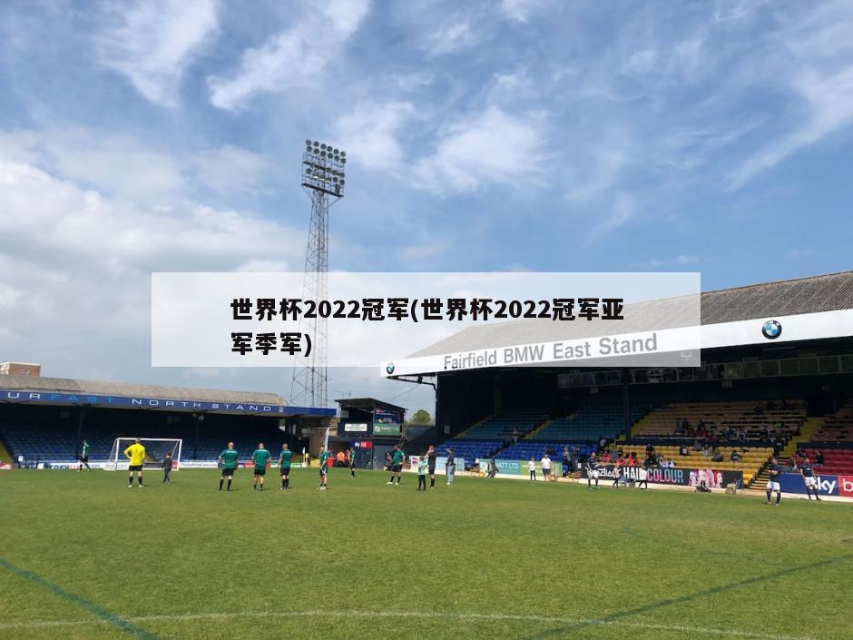 世界杯2022冠军(世界杯2022冠军亚军季军)
