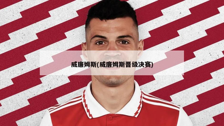 威廉姆斯(威廉姆斯晋级决赛)
