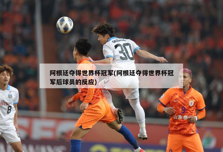 阿根廷夺得世界杯冠军(阿根廷夺得世界杯冠军后球员的反应)