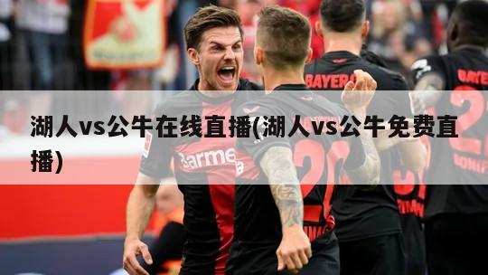 湖人vs公牛在线直播(湖人vs公牛免费直播)