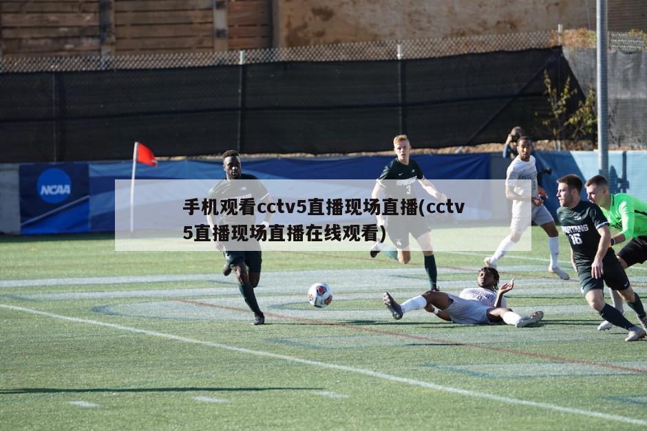 手机观看cctv5直播现场直播(cctv5直播现场直播在线观看)