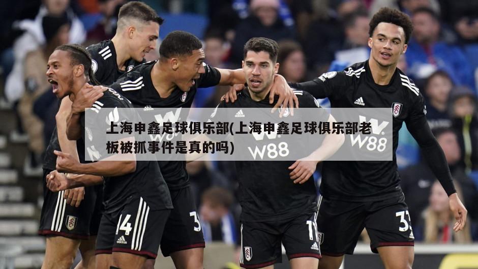 上海申鑫足球俱乐部(上海申鑫足球俱乐部老板被抓事件是真的吗)