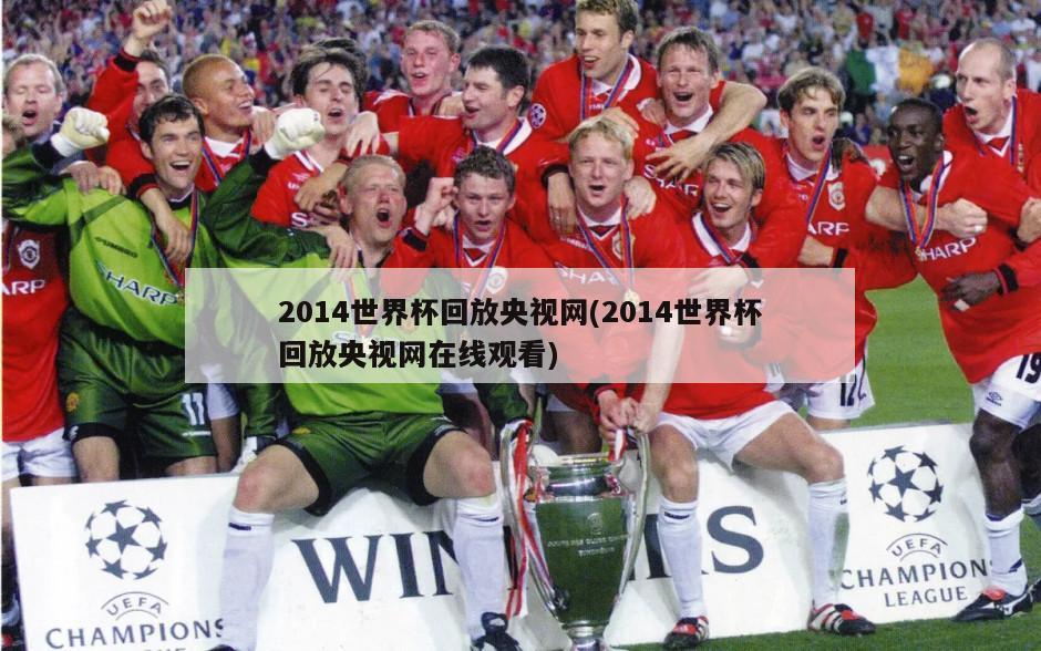 2014世界杯回放央视网(2014世界杯回放央视网在线观看)