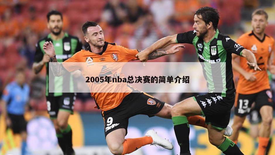 2005年nba总决赛的简单介绍