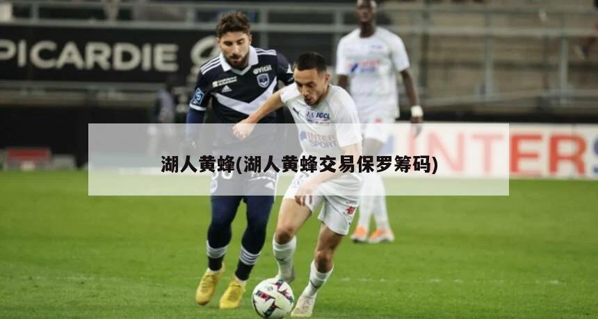 湖人黄蜂(湖人黄蜂交易保罗筹码)