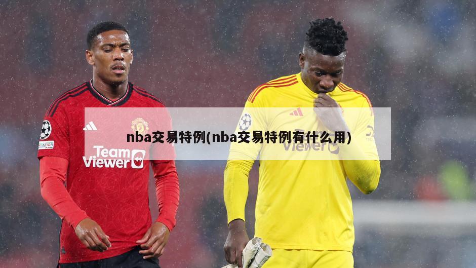nba交易特例(nba交易特例有什么用)