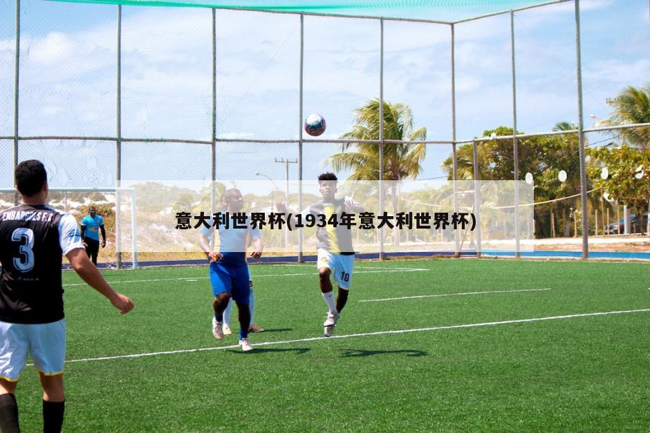 意大利世界杯(1934年意大利世界杯)