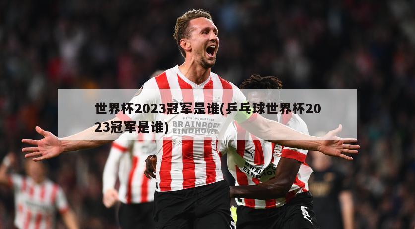 世界杯2023冠军是谁(乒乓球世界杯2023冠军是谁)