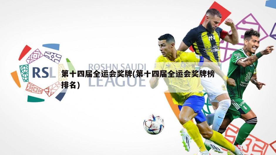第十四届全运会奖牌(第十四届全运会奖牌榜排名)