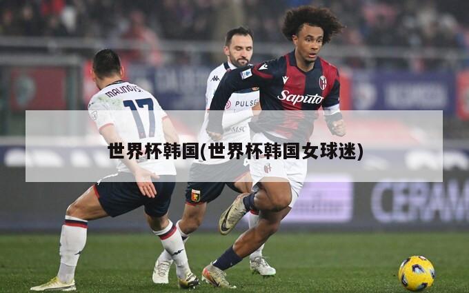 世界杯韩国(世界杯韩国女球迷)
