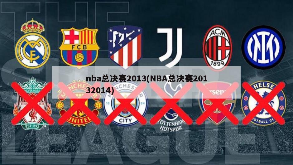 nba总决赛2013(NBA总决赛20132014)