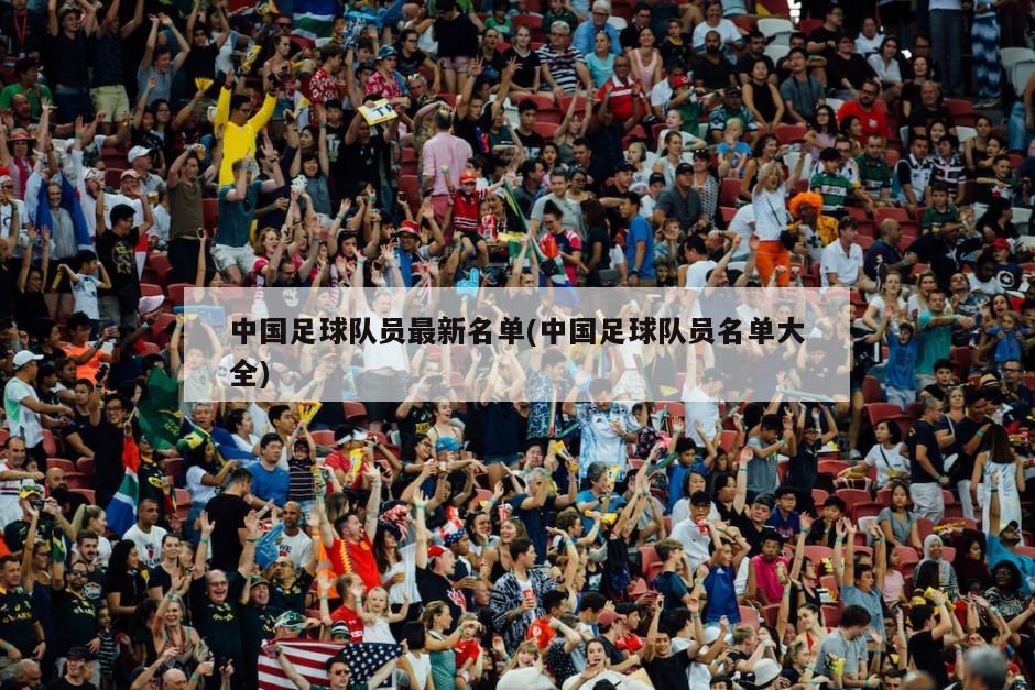 中国足球队员最新名单(中国足球队员名单大全)