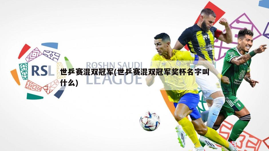 世乒赛混双冠军(世乒赛混双冠军奖杯名字叫什么)