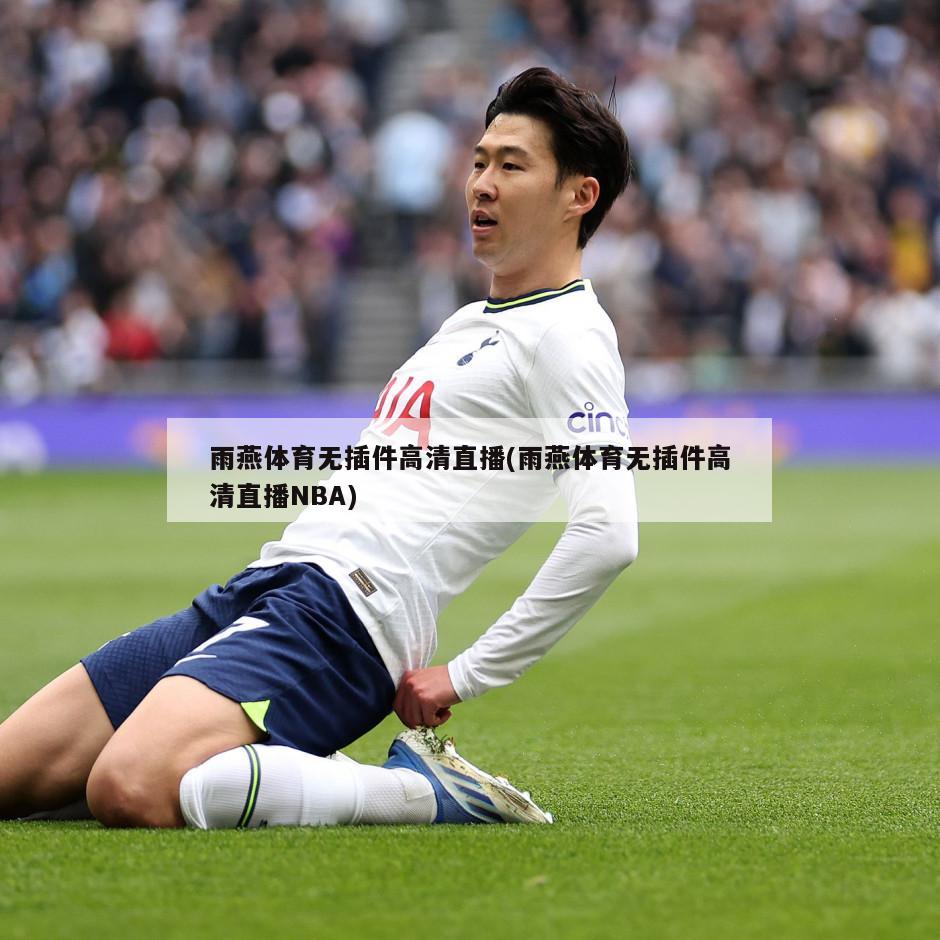 雨燕体育无插件高清直播(雨燕体育无插件高清直播NBA)