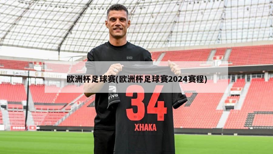 欧洲杯足球赛(欧洲杯足球赛2024赛程)