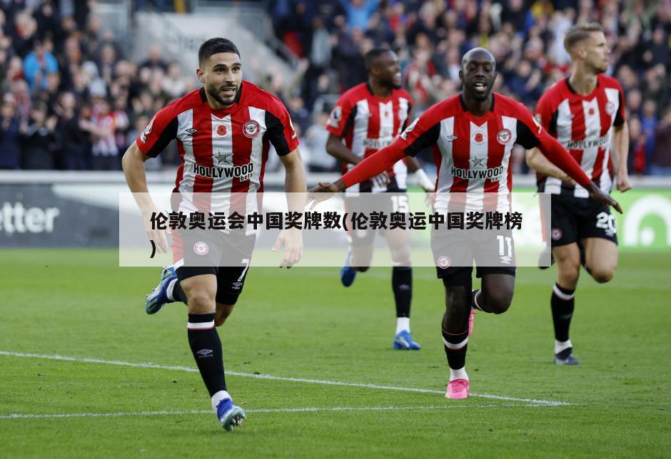 伦敦奥运会中国奖牌数(伦敦奥运中国奖牌榜)