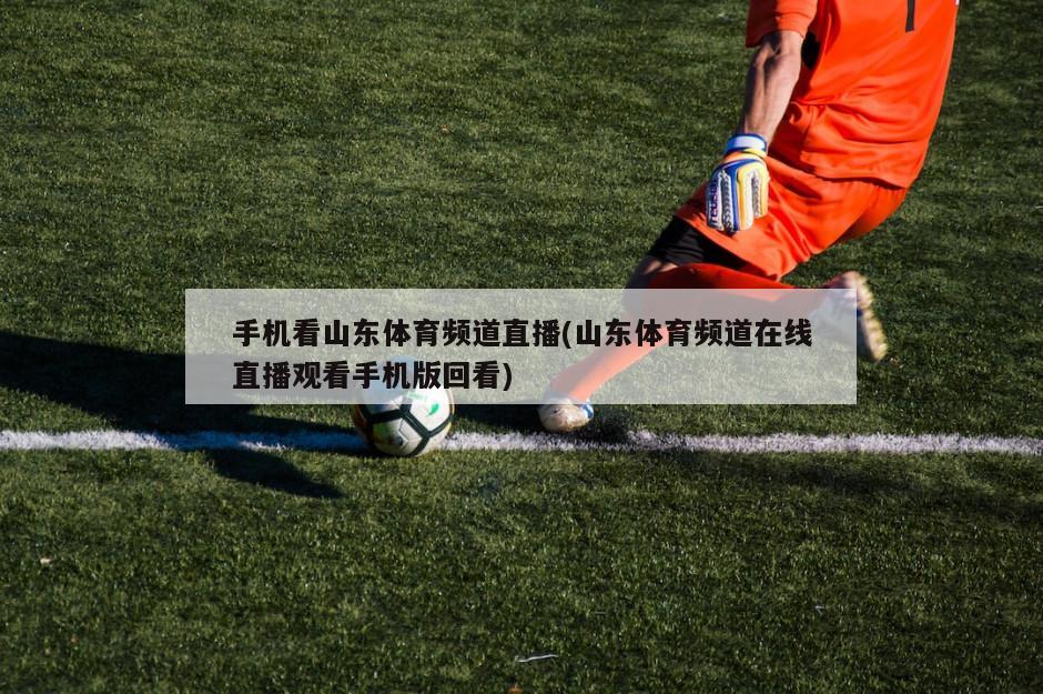 手机看山东体育频道直播(山东体育频道在线直播观看手机版回看)