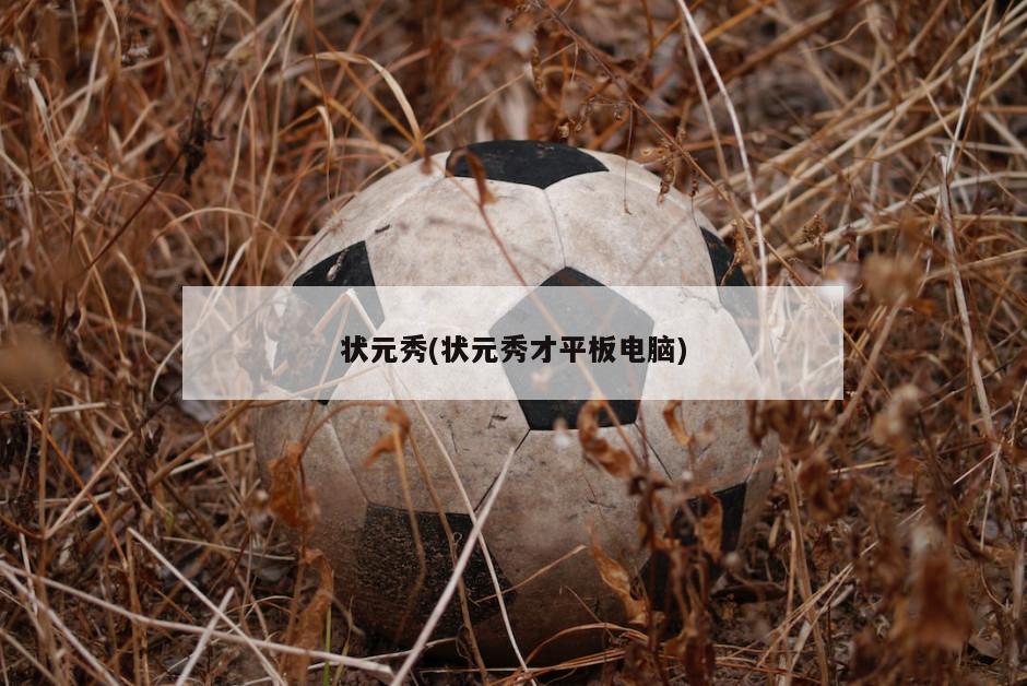 状元秀(状元秀才平板电脑)