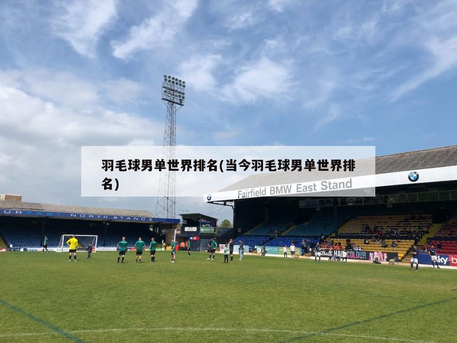羽毛球男单世界排名(当今羽毛球男单世界排名)