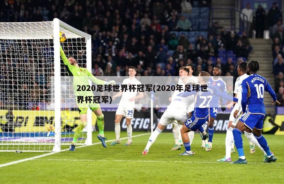 2020足球世界杯冠军(2020年足球世界杯冠军)