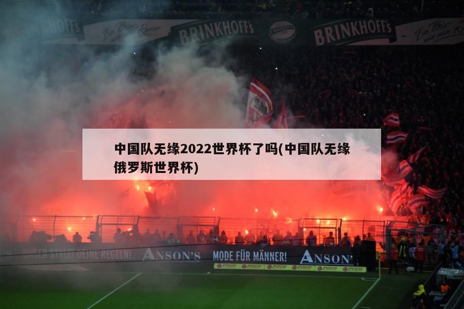 中国队无缘2022世界杯了吗(中国队无缘俄罗斯世界杯)
