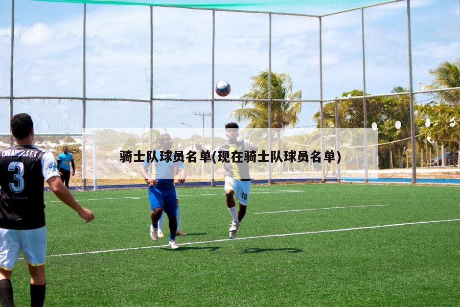 骑士队球员名单(现在骑士队球员名单)