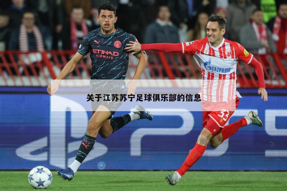 关于江苏苏宁足球俱乐部的信息