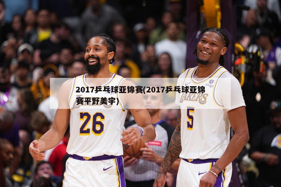 2017乒乓球亚锦赛(2017乒乓球亚锦赛平野美宇)