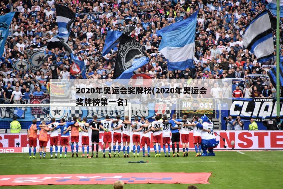 2020年奥运会奖牌榜(2020年奥运会奖牌榜第一名)