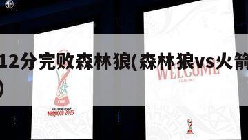 热火12分完败森林狼(森林狼vs火箭全场回放)