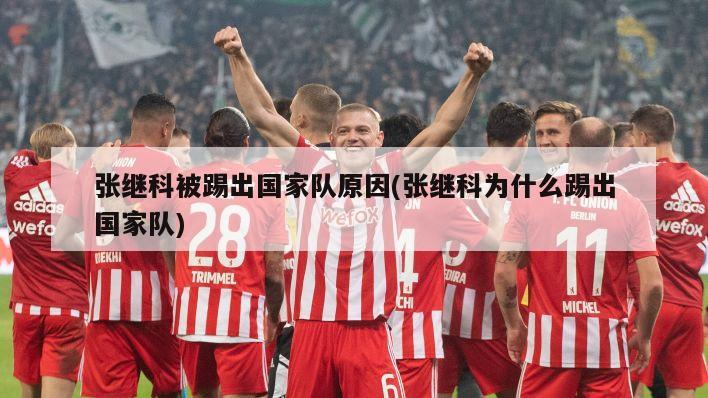 张继科被踢出国家队原因(张继科为什么踢出国家队)