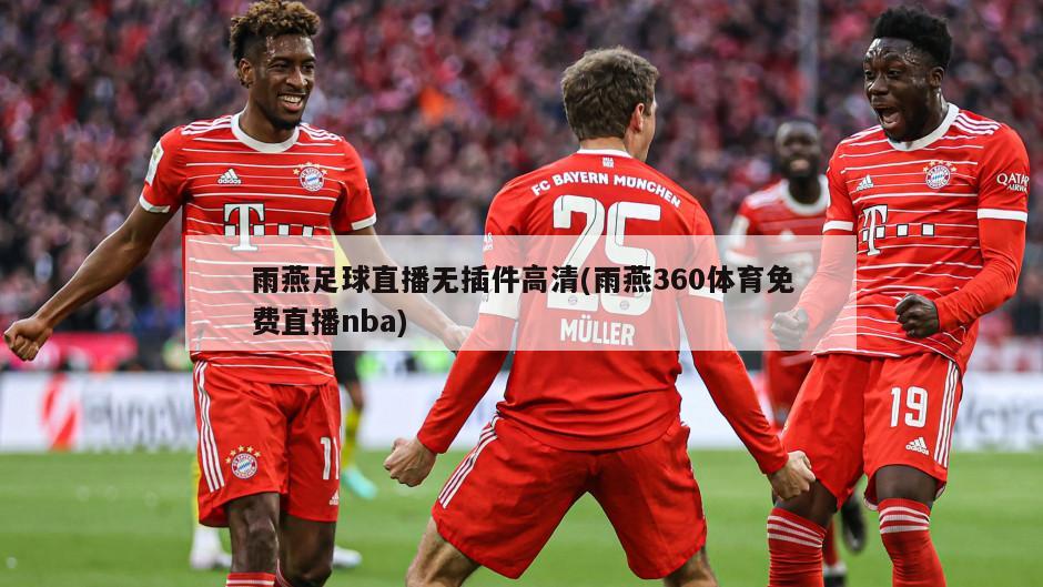 雨燕足球直播无插件高清(雨燕360体育免费直播nba)