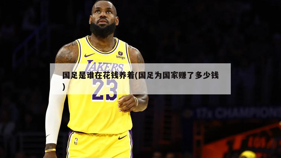 国足是谁在花钱养着(国足为国家赚了多少钱)