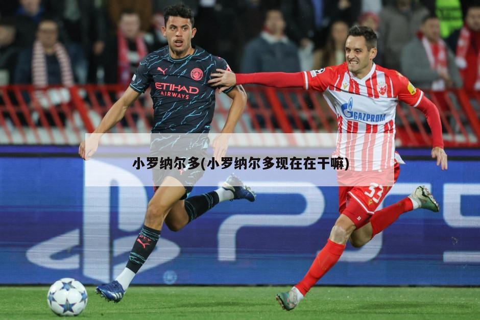 小罗纳尔多(小罗纳尔多现在在干嘛)