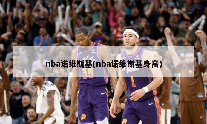 nba诺维斯基(nba诺维斯基身高)