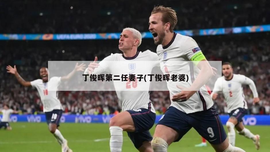 丁俊晖第二任妻子(丁俊晖老婆)