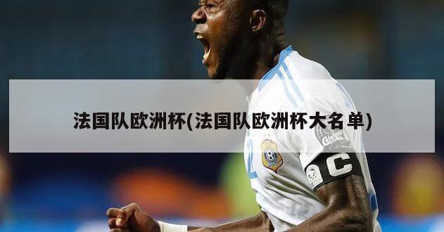 法国队欧洲杯(法国队欧洲杯大名单)
