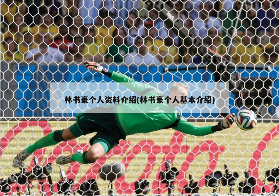 林书豪个人资料介绍(林书豪个人基本介绍)