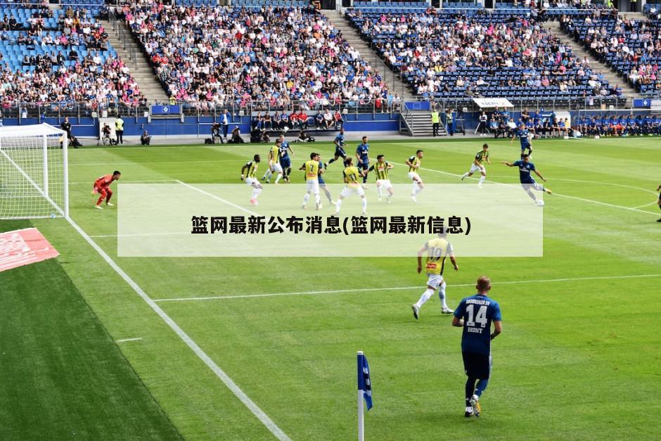 篮网最新公布消息(篮网最新信息)