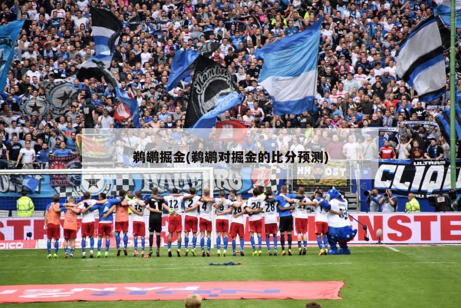 鹈鹕掘金(鹈鹕对掘金的比分预测)