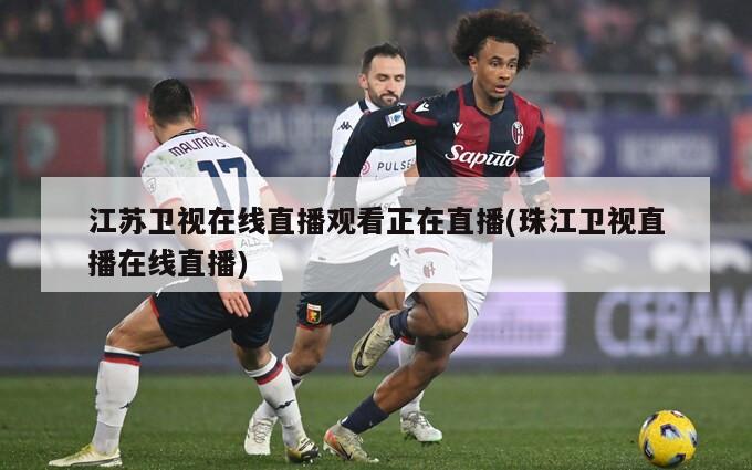 江苏卫视在线直播观看正在直播(珠江卫视直播在线直播)
