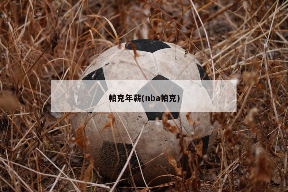 帕克年薪(nba帕克)