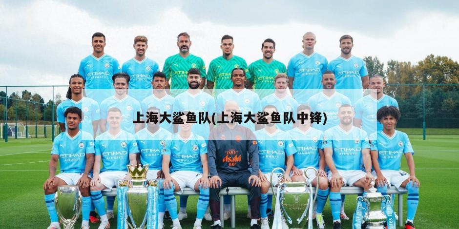 上海大鲨鱼队(上海大鲨鱼队中锋)