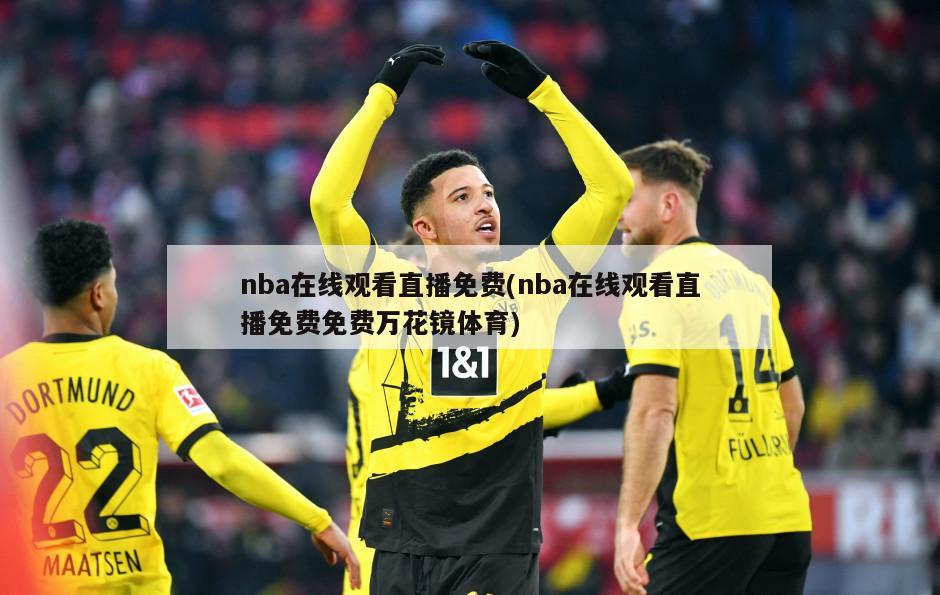 nba在线观看直播免费(nba在线观看直播免费免费万花镜体育)
