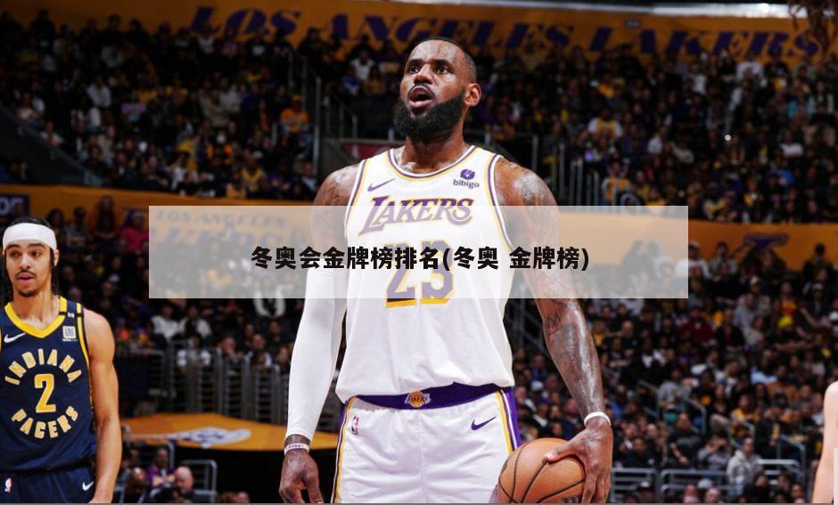 冬奥会金牌榜排名(冬奥 金牌榜)