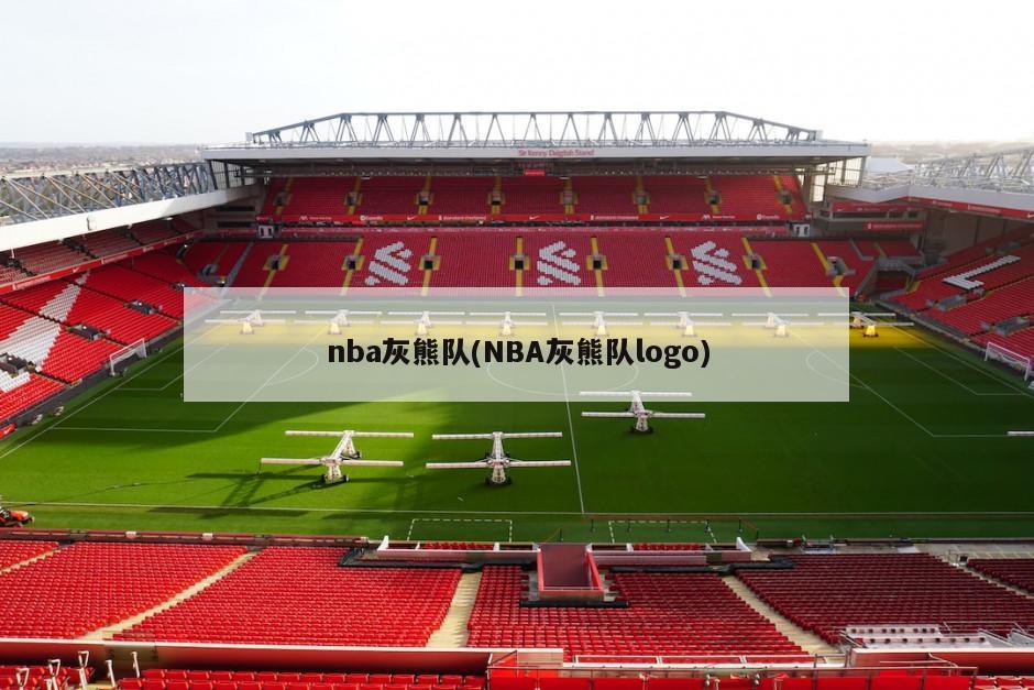 nba灰熊队(NBA灰熊队logo)